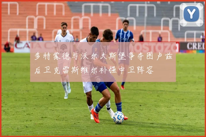 多特蒙德与沃尔夫斯堡争夺图卢兹后卫克雷斯维尔补强中卫阵容